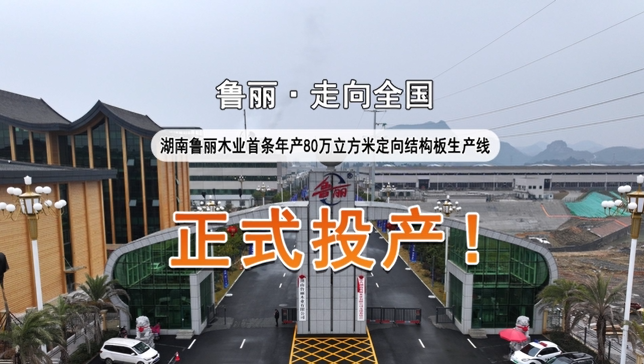 湖南魯麗首條年產(chǎn)80萬立方米定向結(jié)構(gòu)板生產(chǎn)線正式投產(chǎn)