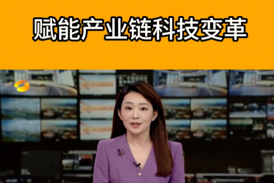 賦能產業鏈科技變革 湖南衛視新聞聯播關注魯麗智能制造科技創新